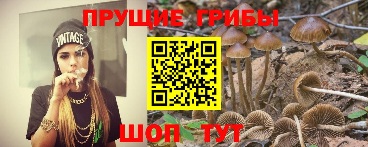Псилоцибиновые грибы мухоморы  Вход с VPN  Орск  Галлюциногенные грибы ЛСД 